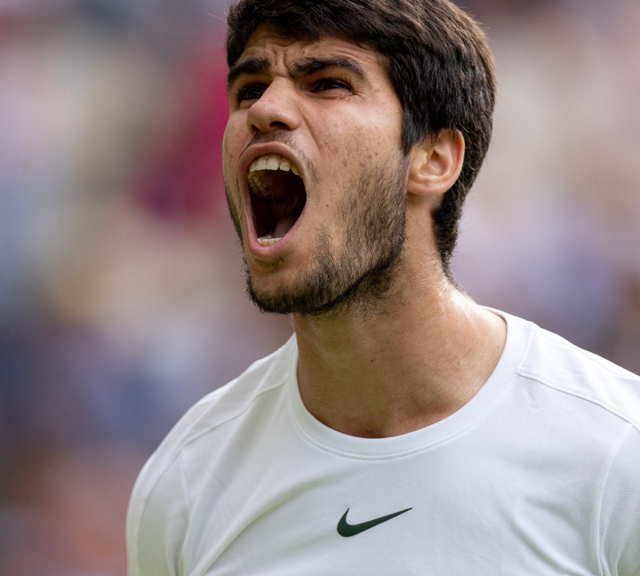 Carlos Alcaraz Conquista Wimbledon Ante Djokovic