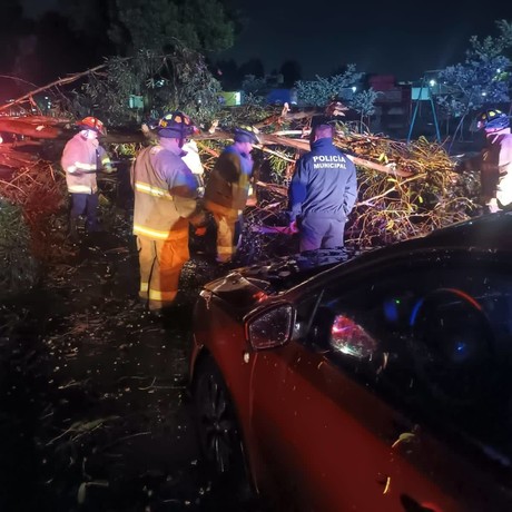 Árbol aplasta auto en Metepec no reportan heridos