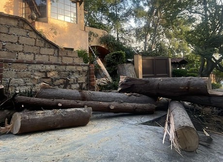 Cae Rbol De Metros Sobre Casa De Lomas De Chapultepec Posta