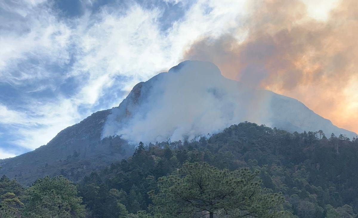 Consume incendio en sierra de Santiago 1,300 hectáreas