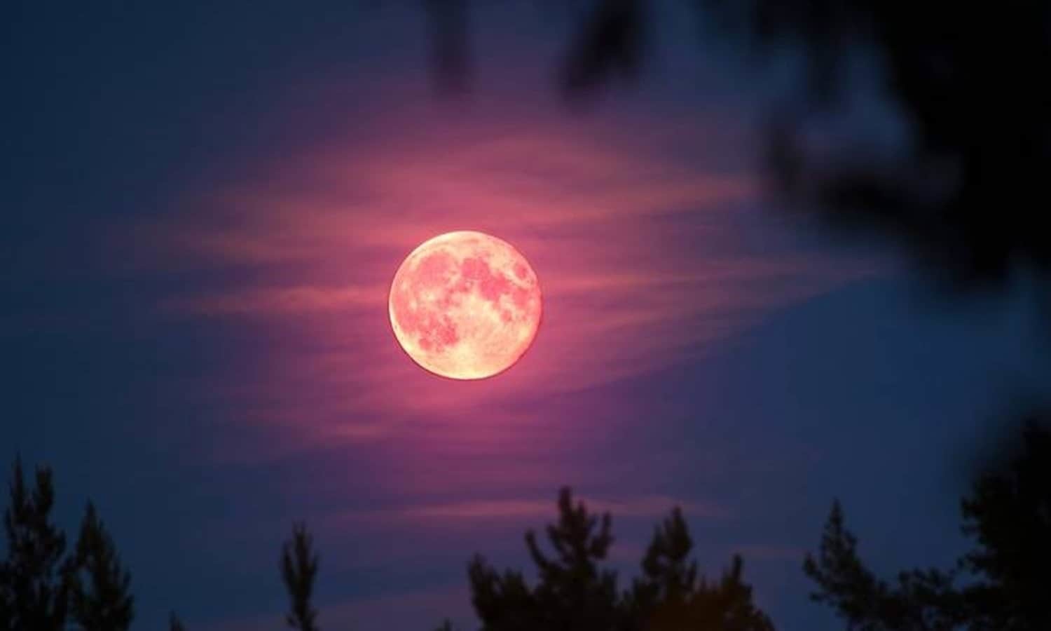 ¿Cuándo se verá la Luna rosa en México?