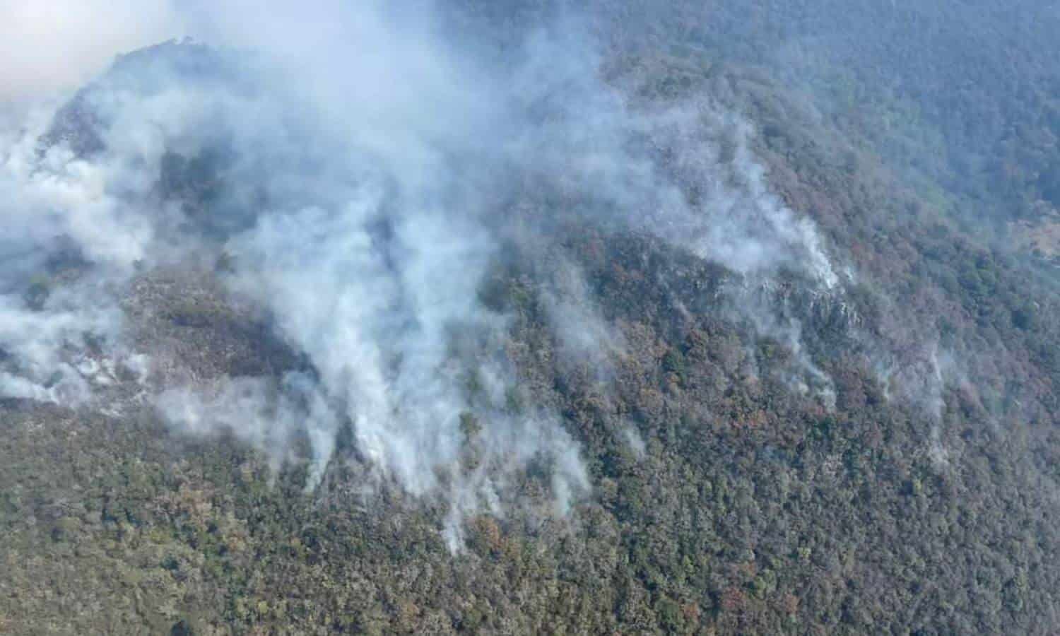 Incendios en Tamaulipas cobran 4,200 hectáreas de bosque