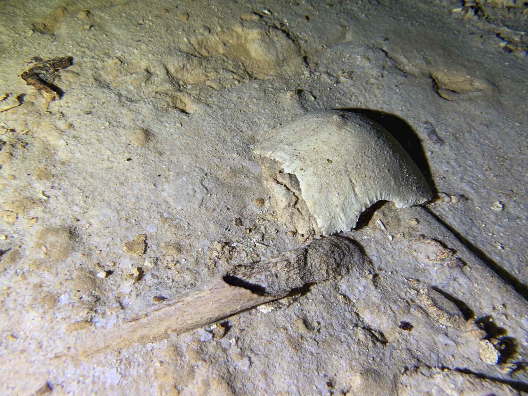 Encuentran esqueleto humano prehistórico en cenote de México
