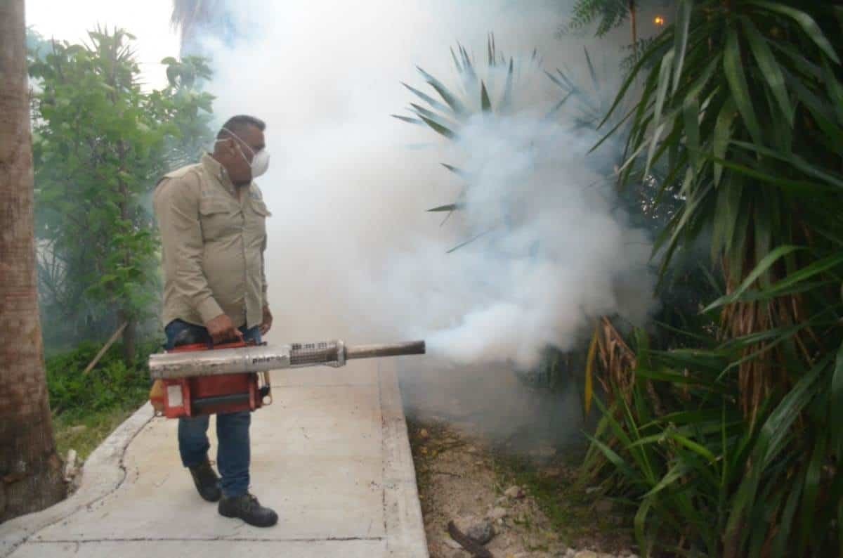 Dan alerta por dengue, zika y chikunguña en Ciudad Victoria