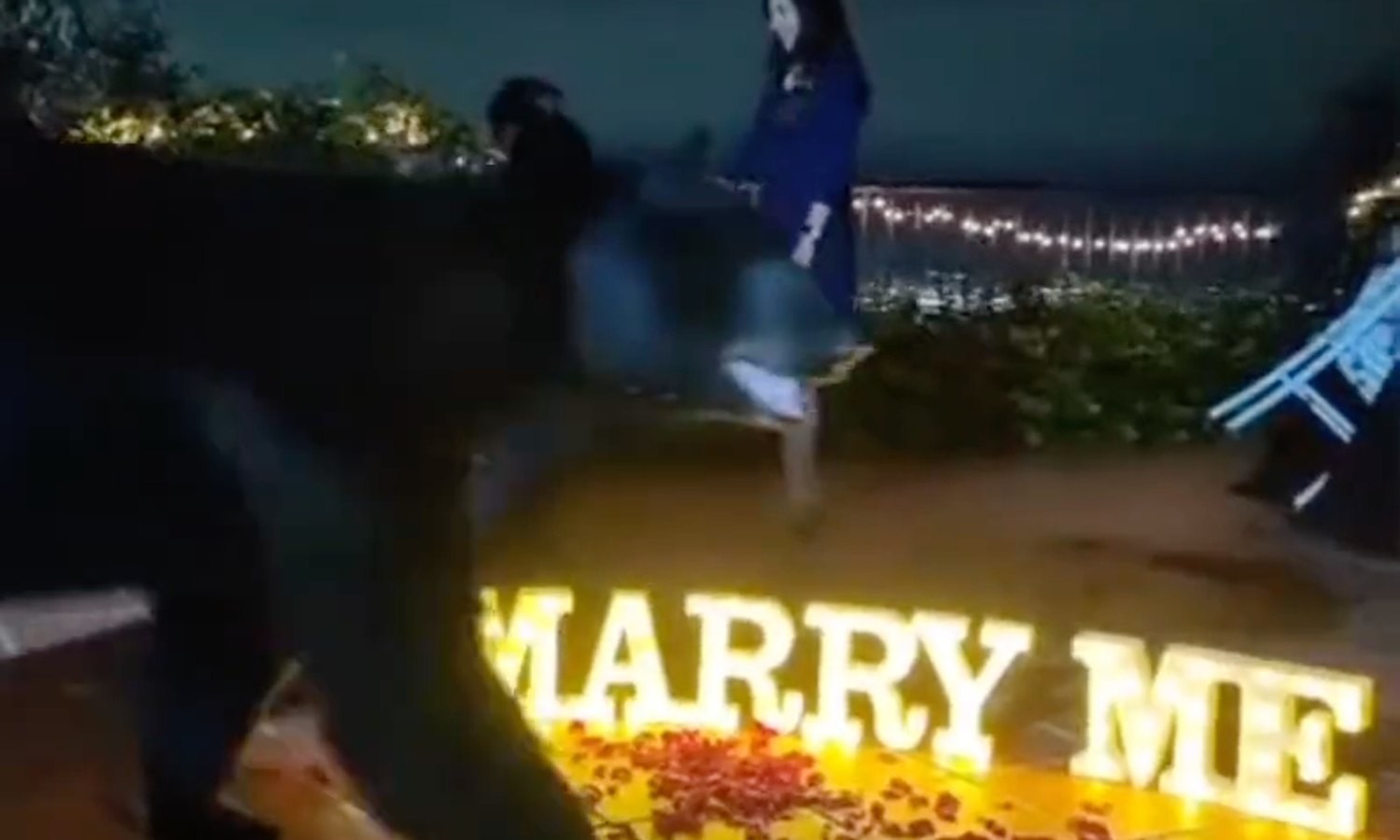 Video: Oso interrumpe romántica propuesta de matrimonio