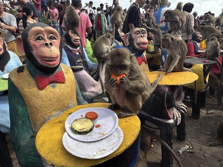 Festival de Tailandia honra a los monos con gran festín