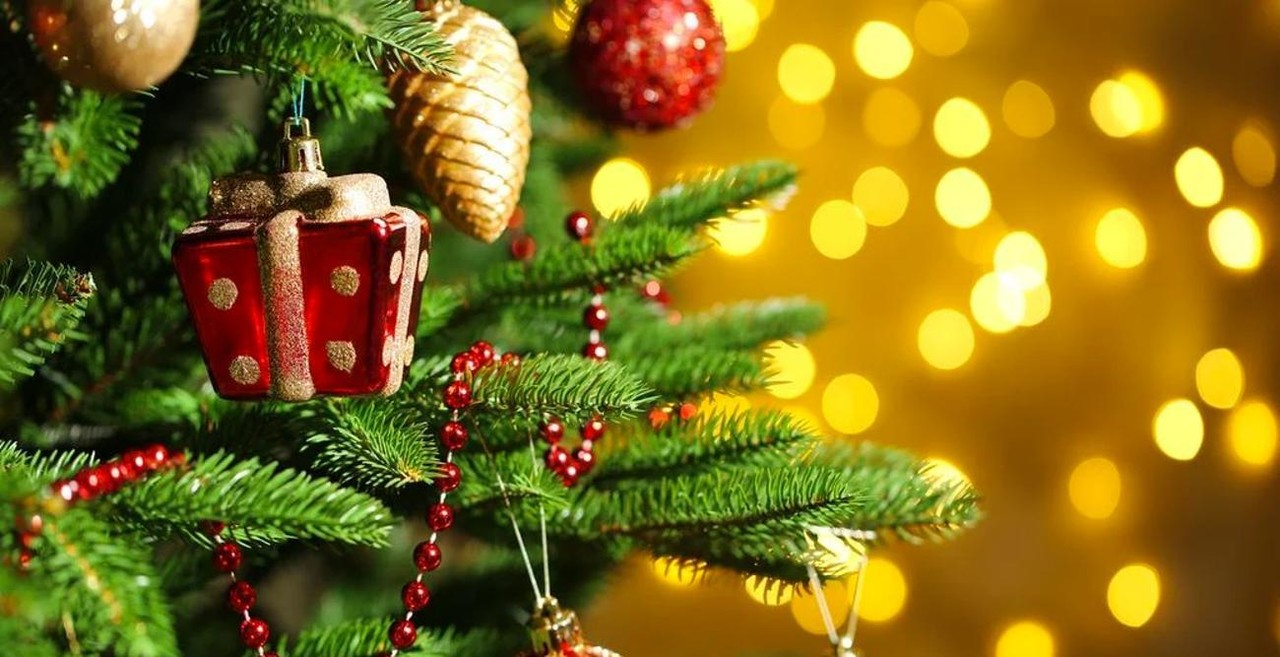 ¿Por qué ponemos un pino en época de Navidad?