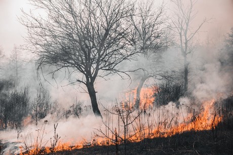 Llaman a prevenir incendios forestales ante invierno seco