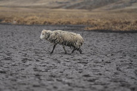 Extrema sequía provoca que desaparezca laguna en Perú