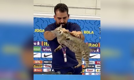 Lanzan a gato en conferencia de prensa de Vinícius Jr.