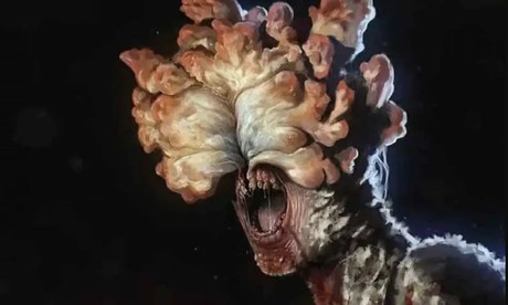 ¿El hongo de 'The Last of Us' puede causar un apocalipsis?
