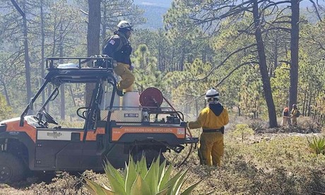 Controlan incendio forestal en Galeana; consume 12 hectareas