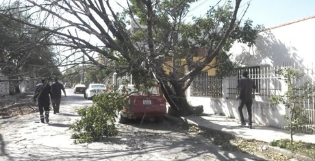 Fuertes vientos ocasionan daños en Ciudad Victoria