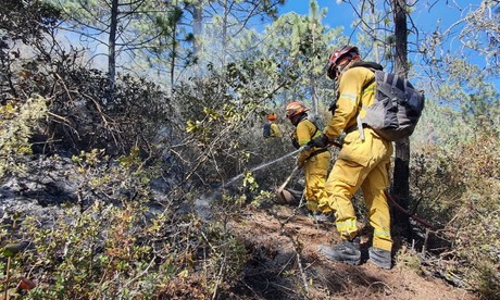 Sofocan incendio forestal en el municipio de Galeana