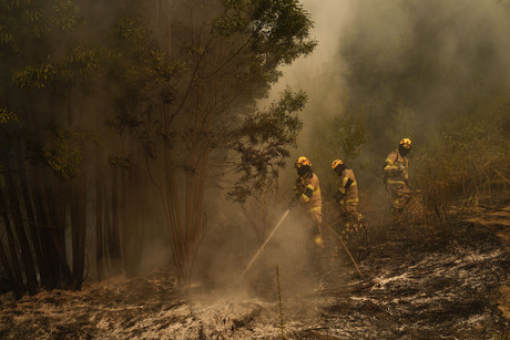 Detienen a 30 posibles implicados en incendios de Chile