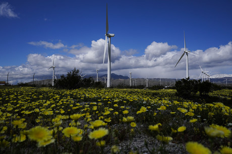 Energía eólica tendrá un crecimiento mundial en 2023