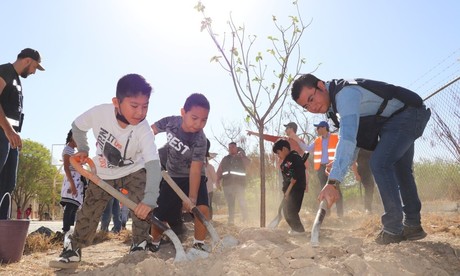 Estado planta 20 árboles en primaria de Monterrey