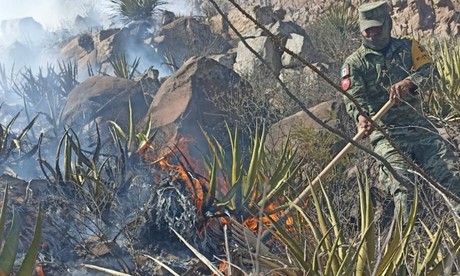 Sancionará Estado a quien cause incendios forestales