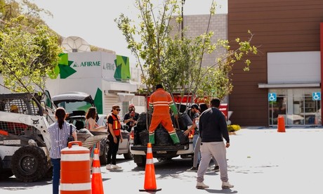 Dona Gobierno de Monterrey más de 7 mil árboles