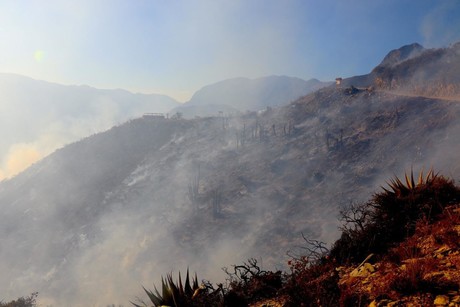 Advierten posibles incendios forestales ante olas de calor