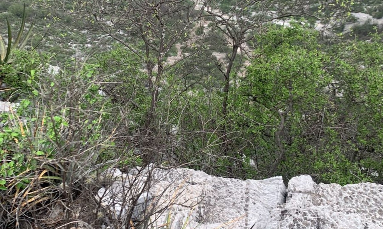 Muere mujer tras caer de 100 metros en La Huasteca