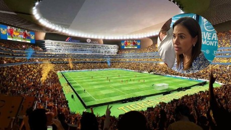 Congreso a favor de estadio, pero falta análisis: Ivonne Álvarez