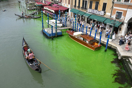 Sospechoso líquido verde tiñe el Gran Canal de Venecia