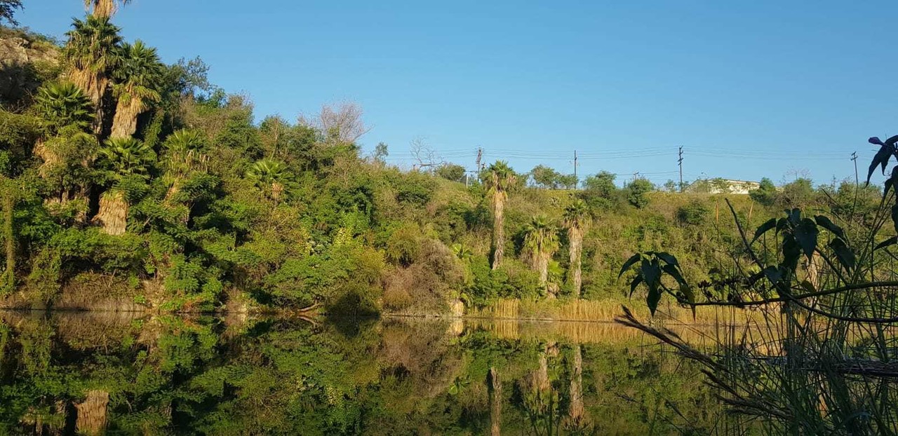 Cantera Tanque Prieto promueve la conservación  de la biodiversidad en Nuevo León