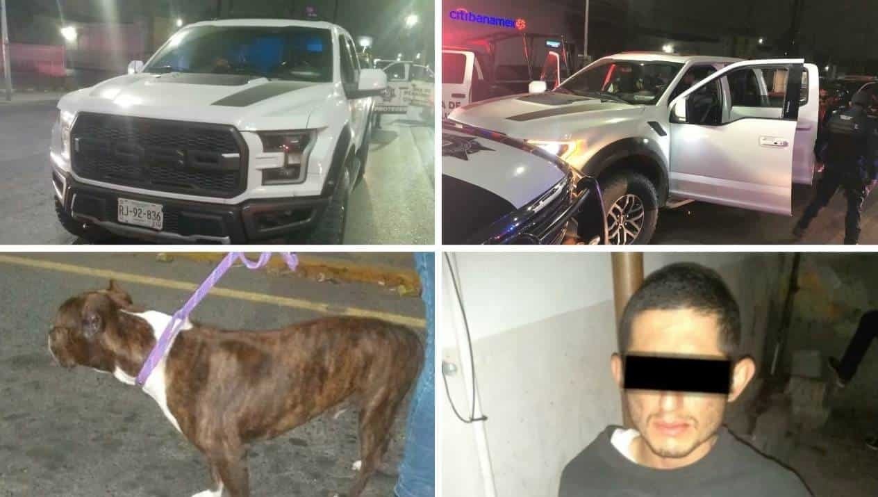 Recuperan camioneta y perro robados a Babo, vocalista del Cartel de Santa