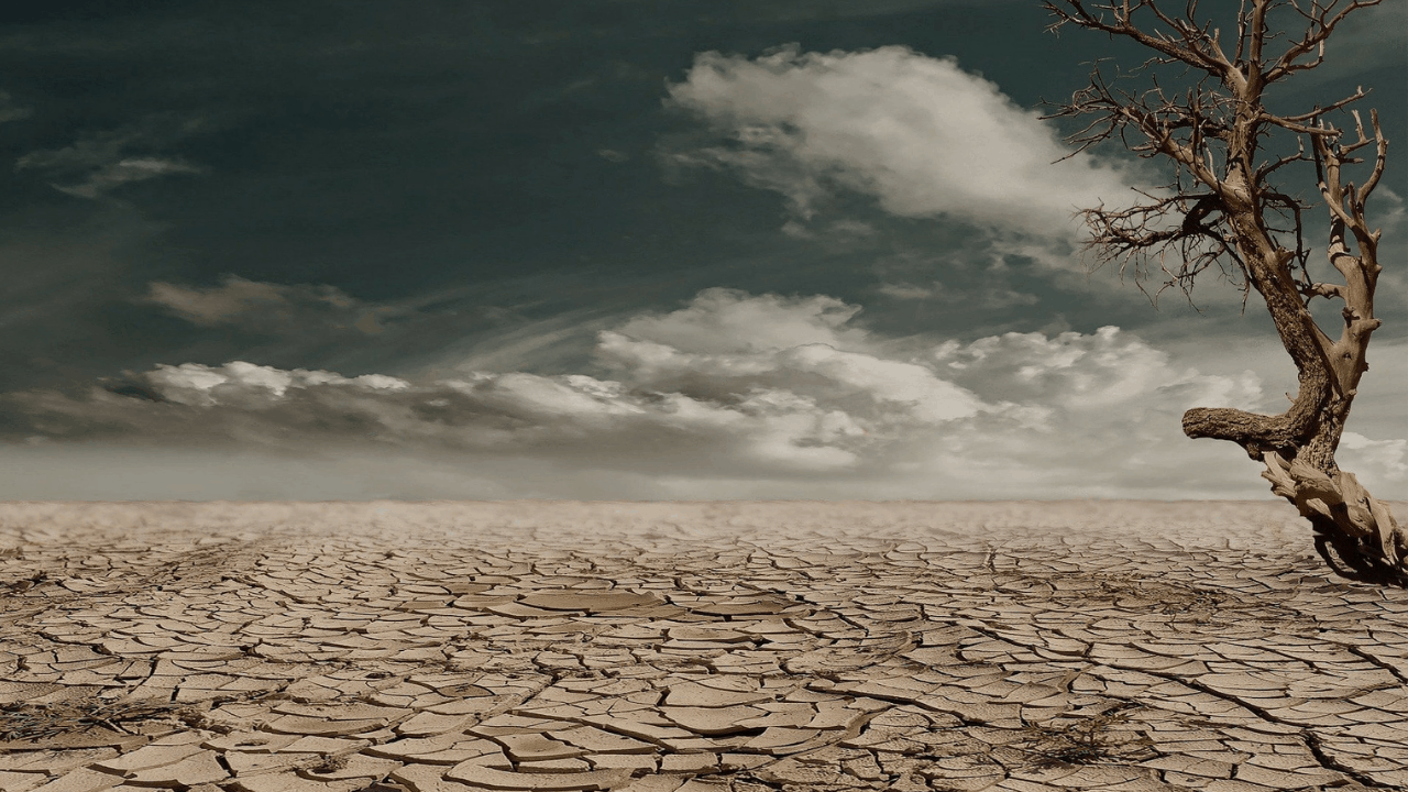 Conagua declara emergencia por sequía severa o extrema