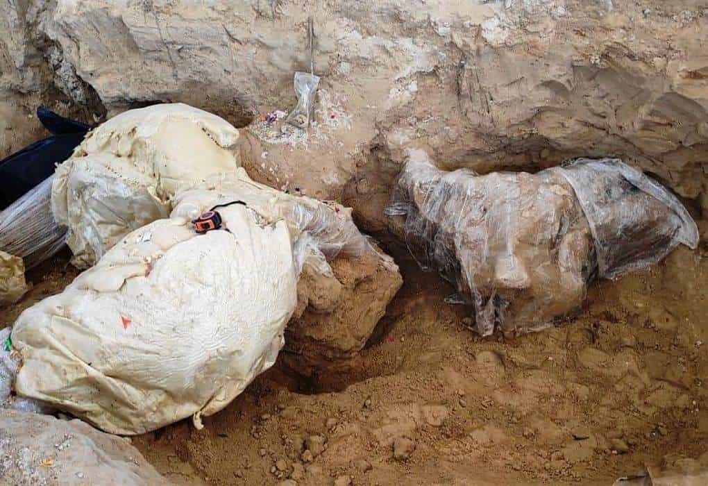 Encuentran restos de mamut en cementerio de Puebla