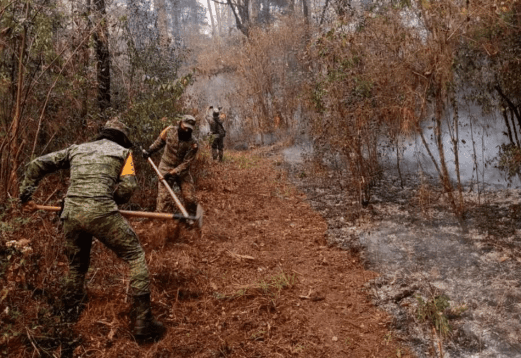 Ejército sofoca incendio en Gómez Farías, Tamaulipas