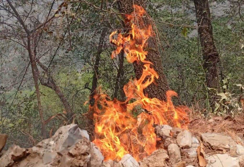 Controlan en un 80% incendio en la Sierra de Santiago