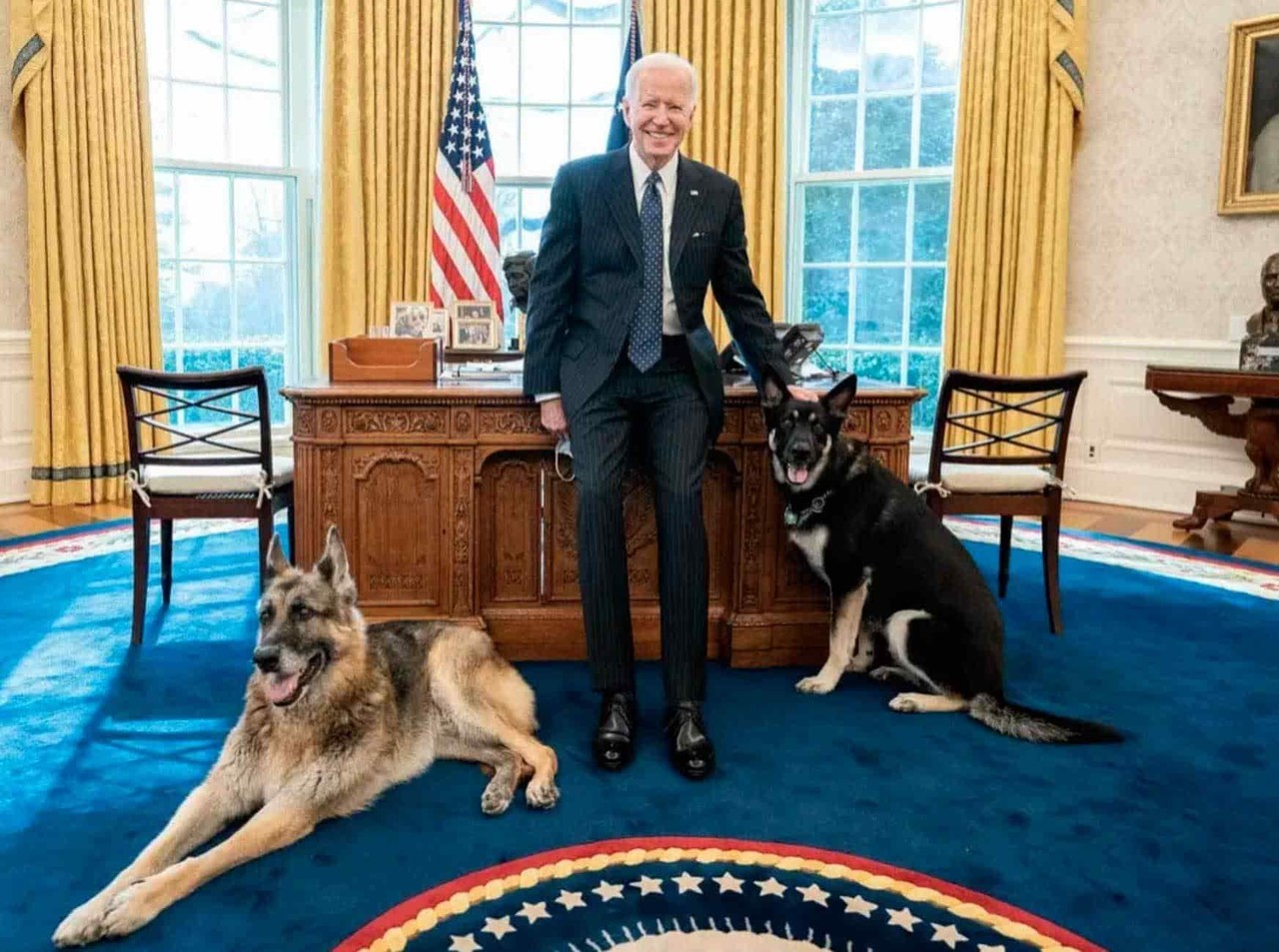 Perro de Joe Biden vuelve a morder a una persona en la Casa Blanca