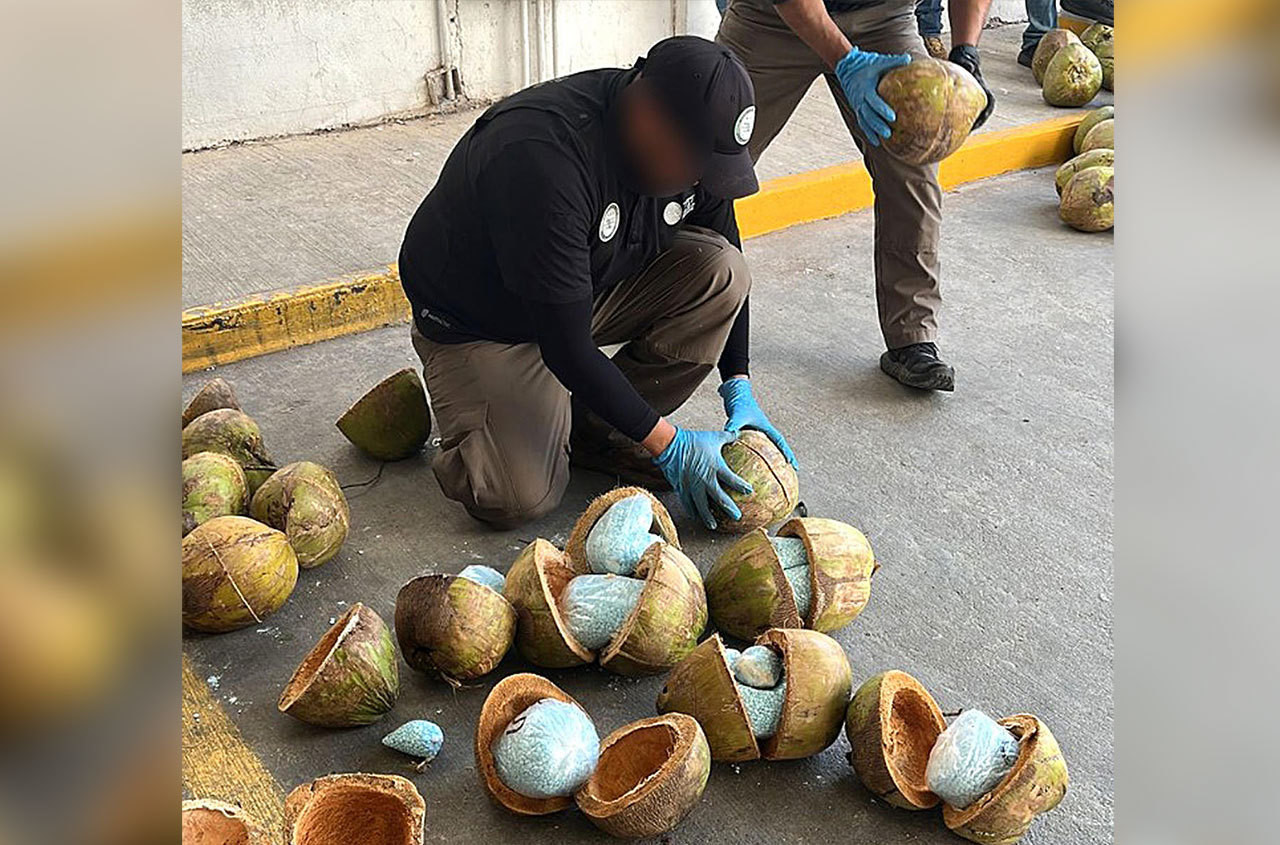 México decomisa 300 kilos de fentanilo escondido en cocos