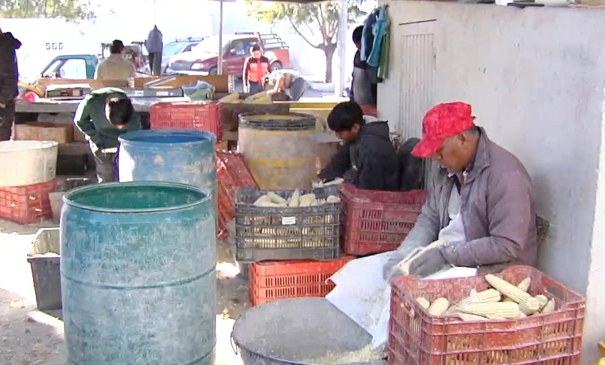 Sí hay elotes! Con esfuerzo y labor se fortalece su venta