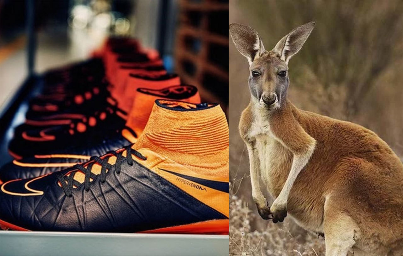 Nike dejará de usar piel de canguro para botas deportivas
