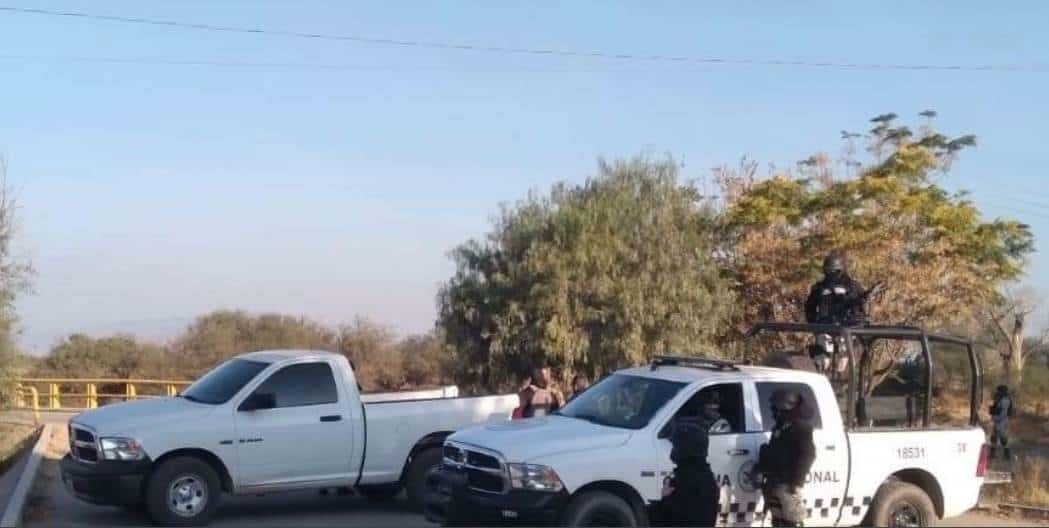 Encuentran ocho cuerpos colgados en Fresnillo, Zacatecas