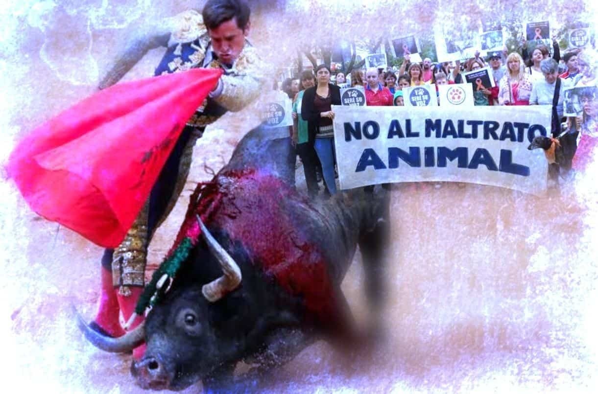 Violencia sin sentido: Activistas rechazan exigen fin a corridas de toros