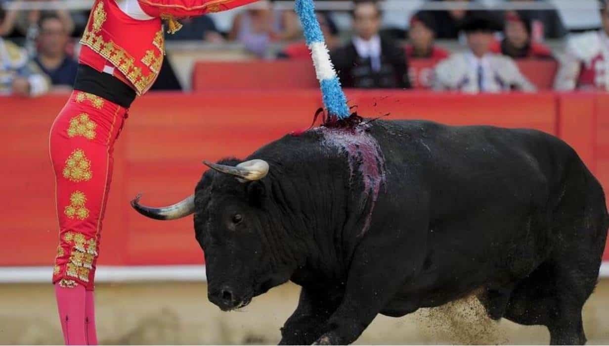 Externa ambientalistas descontento por corrida de toros en Tamaulipas
