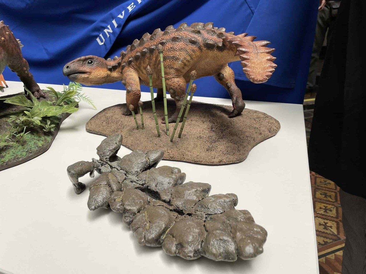 Dinosaurio acorazado chileno empuñaba una cola similar a un garrote azteca