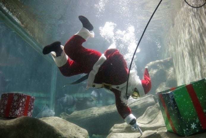 ¡Es Santa, y está bajo el agua!