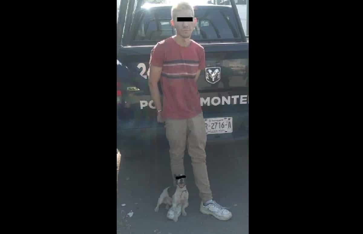 Detienen a perro 'rata' y a su amo por diferentes robos en Monterrey