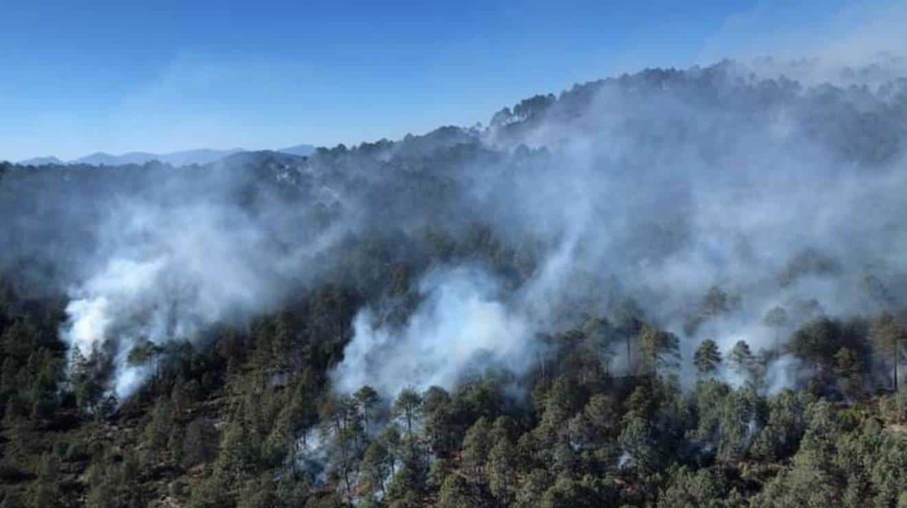 Combate Protección Civil de Nuevo León incendio forestal en Galeana