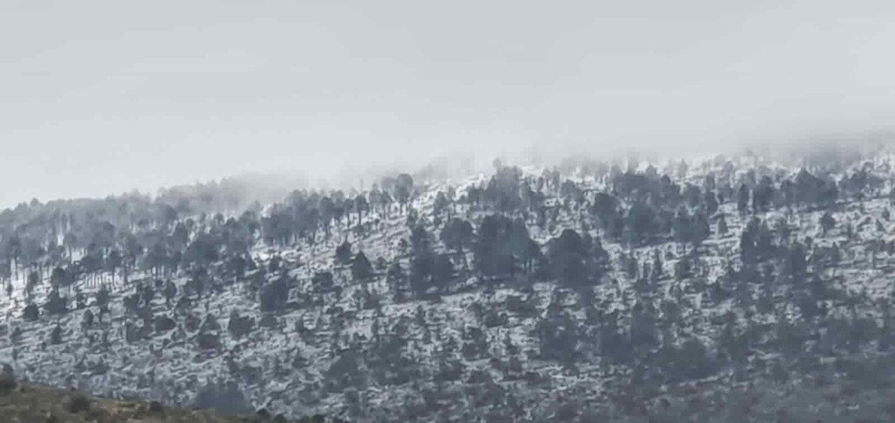Pinta nieve de blanco el Cerro del Potosí en Galeana, NL