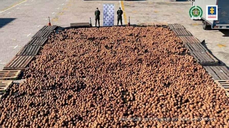 ¡El ‘Coco’! Incautan 20 mil cocos con droga adentro 