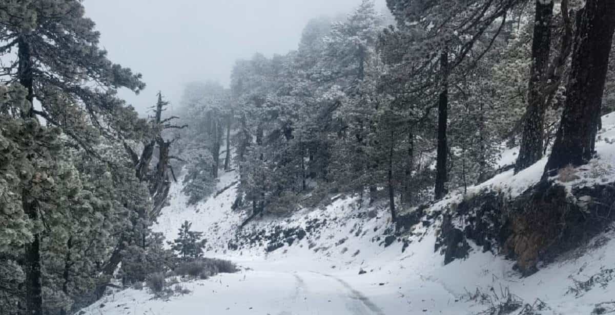 Cae nevada en zonas montañosas de Galeana y General Zaragoza