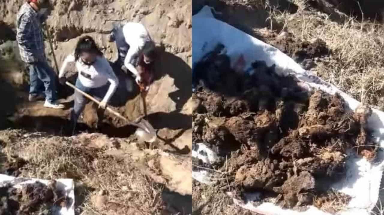 Encuentran más de 50 restos humanos en fosas en Santa Ana, Sonora