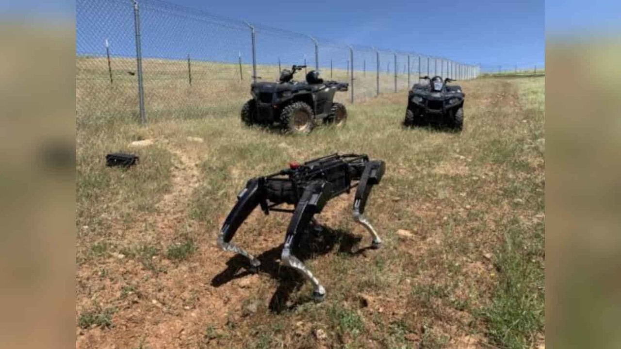Realiza Estados Unidos patrullaje con perros robot en frontera  con México