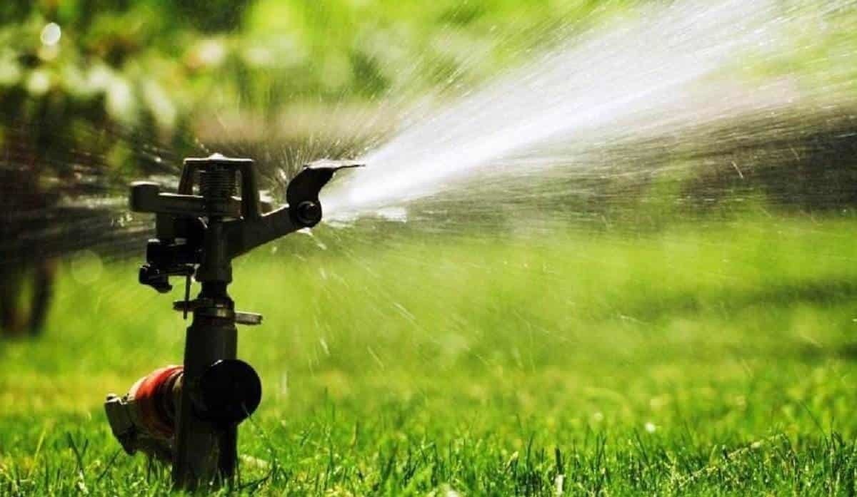 Prohíbe Estado regar pasto de jardines ante sequía